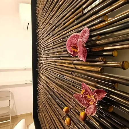 Corte Dei Castellari 32a Borghetto Santo Spirito